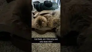 To All Cat Parents&hellip; This Might Change Your Behavior&hellip; for a long time at least