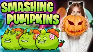 [OFF-SEASON] TILL BLOODMOON DO US PART | ORIGINS LEADERBOARDS | AXIE INFINITY