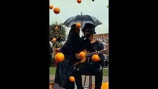 Low Hanging Fruit (Video Teaser)