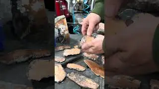 Slabs of Silver Bearing Copper w/ Quartz