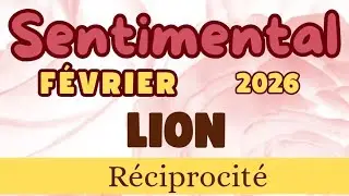LION r&eacute;ciprocit&eacute; | Sentimental F&eacute;vrier 2026