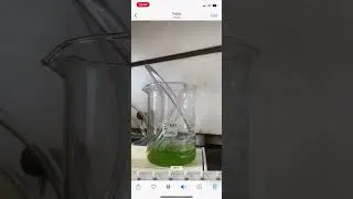 The use of ozone nanobubbles to remove algae in water
