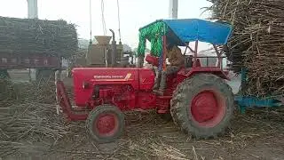K.m. sugar factory moti nagar ayodhya ganna girta hua