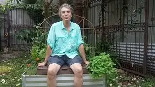 Why do I have flies in my compost?