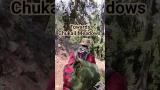 Chukail Meadows Trekking #chukailmeadows #hiking #fyp #travel