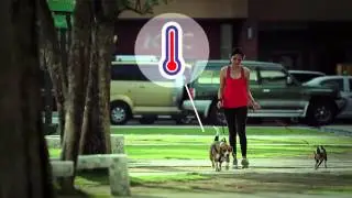 Casper for Dextrolyte - sportsdrink for dogs