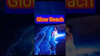 Glow beach in maldives | maldives glowing beach | bioluminescent waves | maldives #shorts #tour