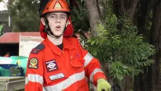 Clearing overhead branches advice - Queensland SES