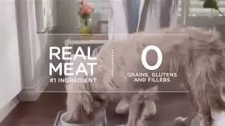 Rachael Ray Nutrish Dish Natural Dry Dog Food, Chicken & Brown Rice Recipe With Veggies & Fruit