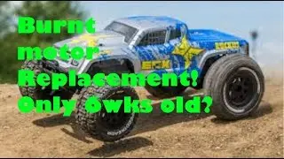 ECX Ruckus 2WD Brushed motor replacement..