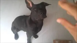 Trickkiste von Dion