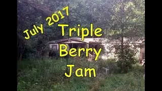 Triple Berry Jam