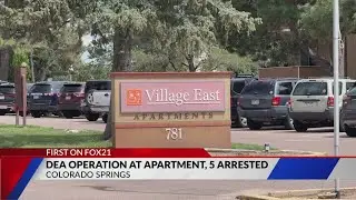 DEA operation at Colorado Springs apartment, five arrested