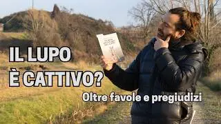 Hai paura del lupo? Probabilmente sbagli