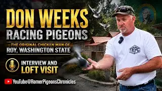 Don Weeks Tacoma Washington State the Original Chicken Man
