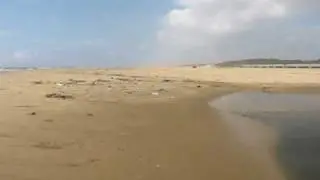 360 degrees at Adayar Estuary, Chennai