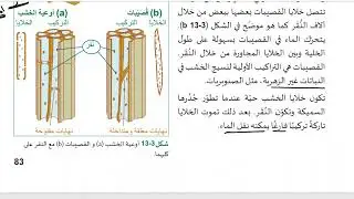 الاحياء الثالث الثانوي  مراجعة النبات 25 26