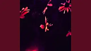 I... 0x00eX0... I