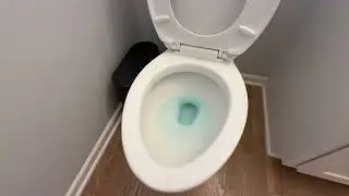 Blue Water, Clean Bowl &ndash; ACTIVE Automatic Toilet Bowl Cleaner Demo & Review
