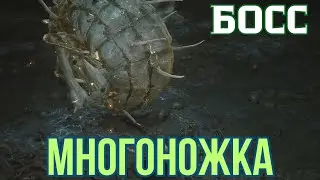 Как победить БОССА Гуай Многоножка Black Myth Wukong #wotigru #wukong