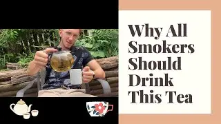 MULLEIN TEA REVIEW & WHY ALL SMOKERS SHOULD DRINK THIS