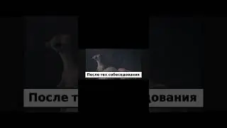 После интервью #shorts #programming #humor #interview