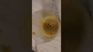 Так пластик превращают в бензин 🤯 #пиролиз