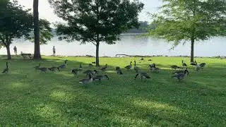 Concord Park The Cove Another Beautiful Day