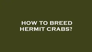 How to breed hermit crabs?