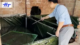 Giá lợn quá rẻ, bác chủ bực mình đập chuồng lợn nuôi lươn