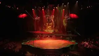 Cirque Du Soleil OVO  (Aerial Cradle)