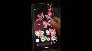 Pixel 6 6a 6 pro | Imei Null or 00000 After android 16 Update | Permanent Fixed | Update Working