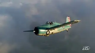 Wildcat Awakened
