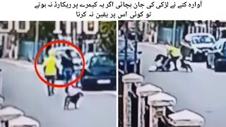 Real life hero dog saves girl|Id Tv|اگر یہ کیمرے پر ریکارڈ نہ ہوتے تو کوئی اس پر یقین نہ کرتا#shorts