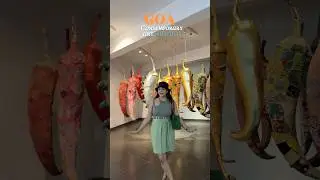 Contemporary art museum in GOA