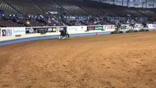 Shawn Flarida and luckie Moonstone 1 Go NRHA Futurity 2016 score 221,5