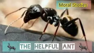 Moral Stories | Kids Story | The Helpful Ant | Kindness always comes back#moralstory #kidsdreamworld