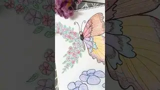 Aesthetic Butterfly Line Art #doodleart #artstyle #butterflydrawing #floralart #doodleartdrawing