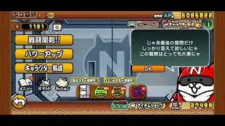 BCJP 13th Anniversary Cat Base Cat Talk Part 2