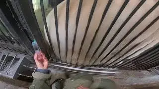 Тренинг Терпея.. Terpey Polar Bear Training..🐻‍❄️🐻‍❄️🐻‍❄️