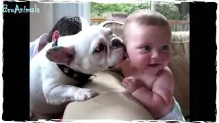 Дети и Животные   Это Любовь Kids and Animals   Th