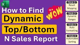 Excel Tips: Finding Top/Bottom N Sales Report Made Easy!