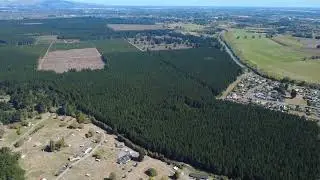 Redwood forest drone shot Christchurch New Zealand