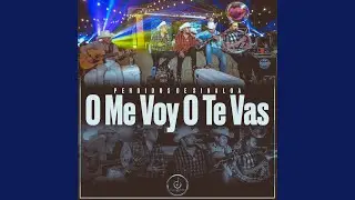 O Me Voy O Te Vas (En Vivo)