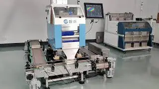 The one small parts counting machine for VC193-2 with semi automatic cartoning line