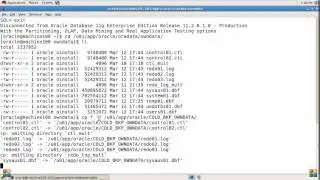 Oracle Database backup  - Cold Backup
