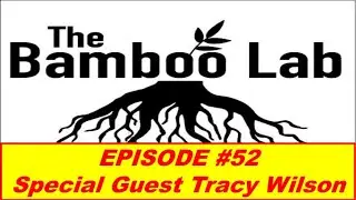 Episode 52 