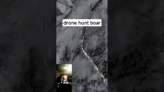 🔥WILD BOAR TAKEDOWN!Drone Teamwork with Hunting Dogs Saves Farm! (Full Action)⚡️#drone