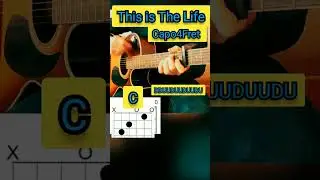 This is The Life - Amy Macdonald - Guitar Tutorial - Lesson #shorts #guitar #tabs #tutorial