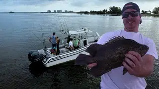 Catching Tripletail On Crab Trap Buoys